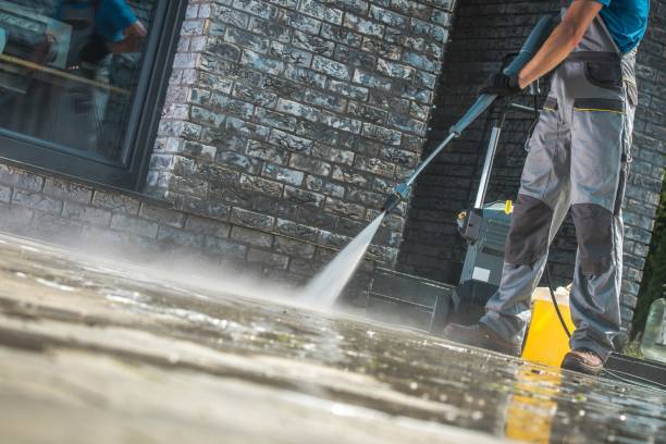 Best Animal Enclosure Cleaning  in North Miami, FL