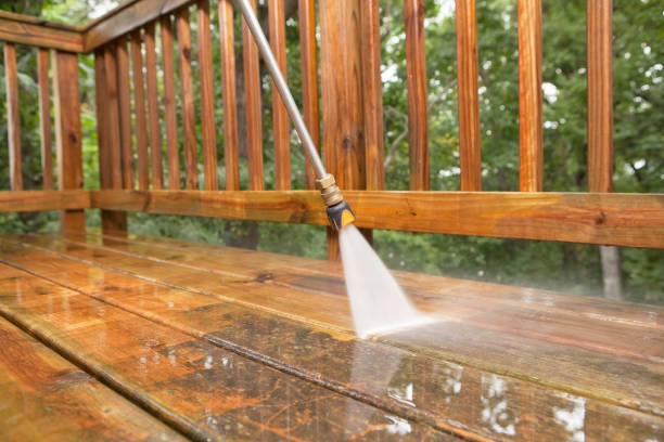 Best Driveway Pressure Washing  in North Miami, FL